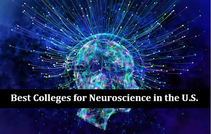 best universities for neuroscience phd